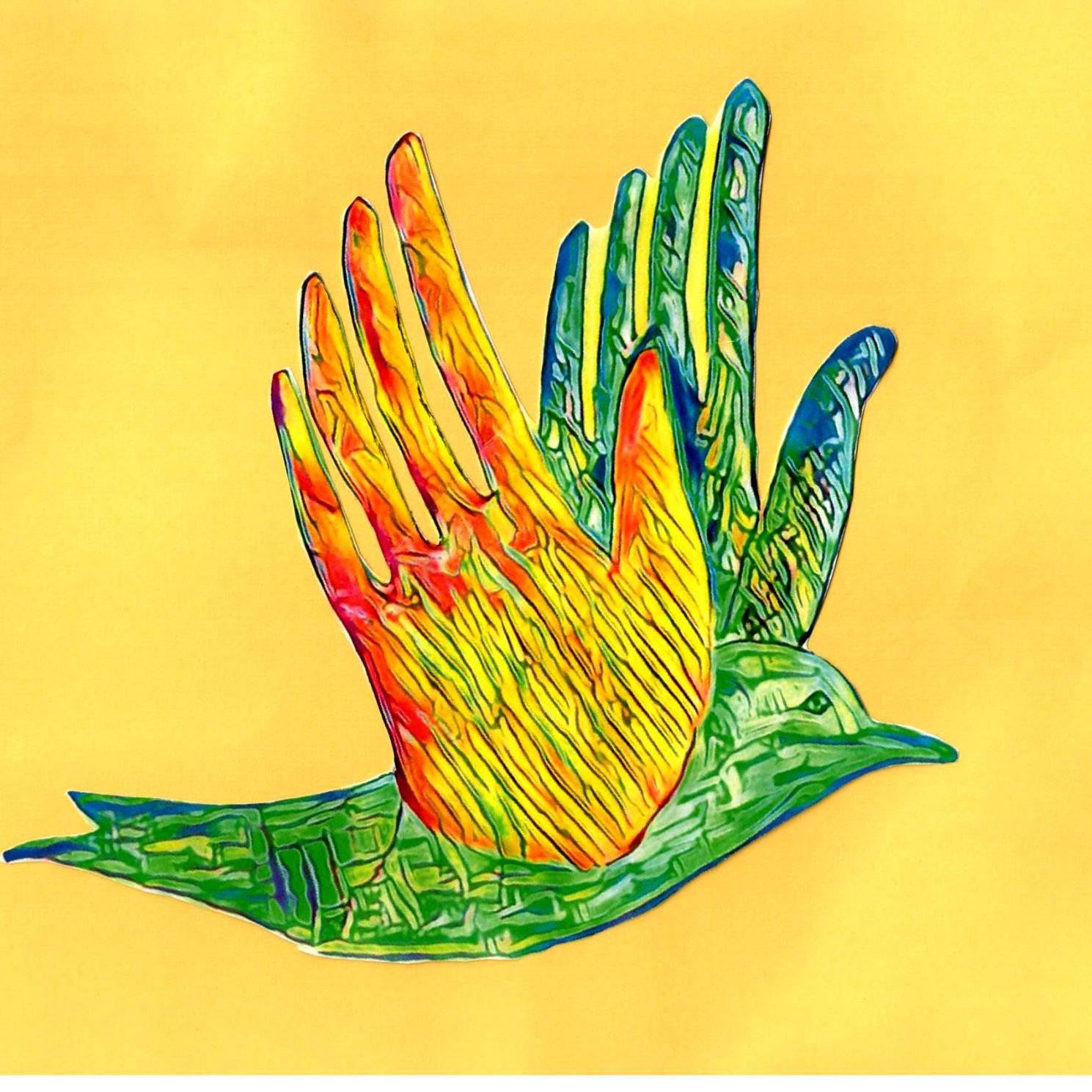 birdsinhelpinghands