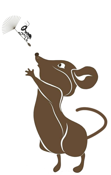 mouse