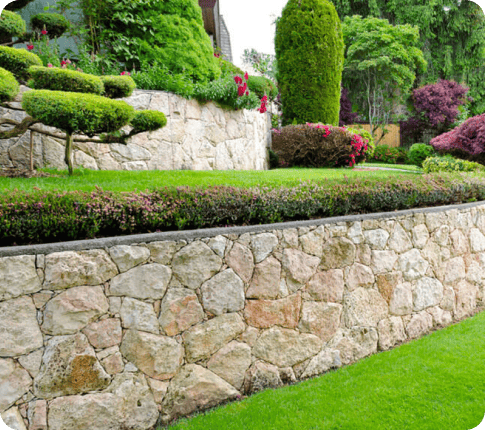 Weed Control Services