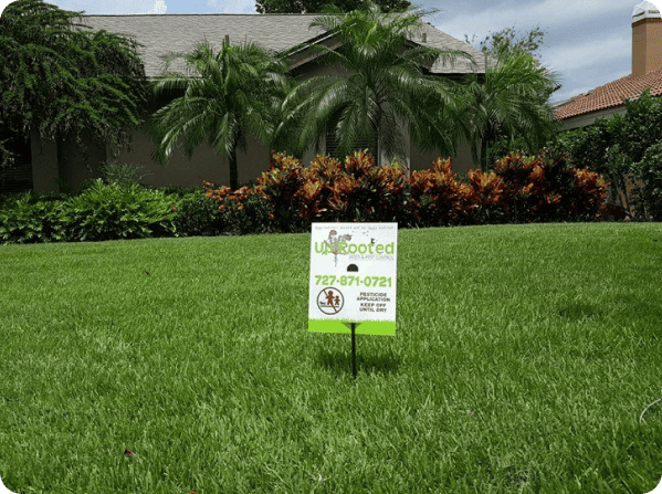 control services in Central Florida